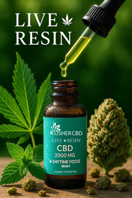 LIVE RESIN CBD DAY OIL MINT 2000MG